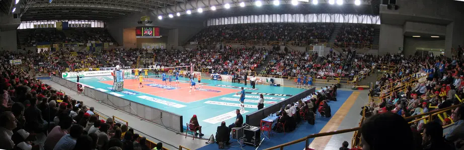 Pallavolo